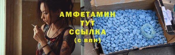 стаф Заводоуковск
