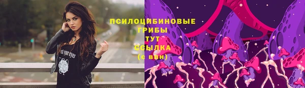 стаф Заводоуковск