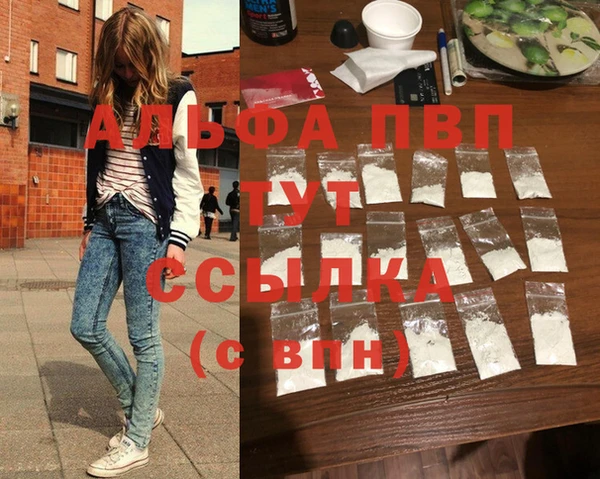 стаф Заводоуковск