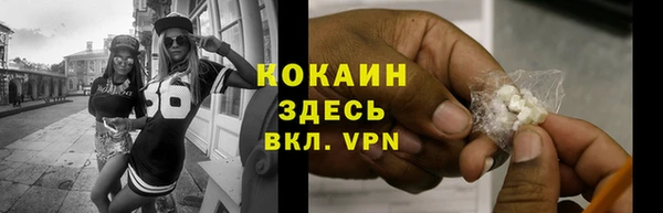 стаф Заводоуковск