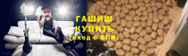 стаф Заводоуковск