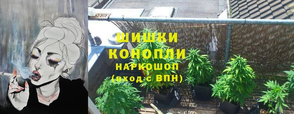 стаф Заводоуковск