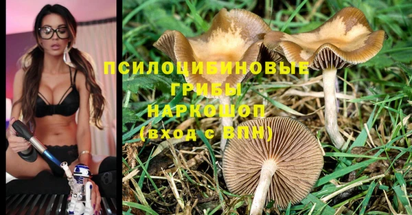 соль курить ск Заволжье
