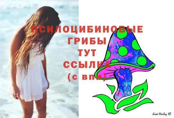 стаф Заводоуковск