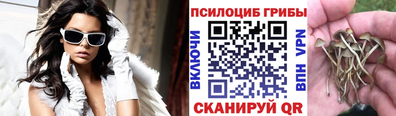 Галлюциногенные грибы Cubensis  сколько стоит  Карталы 