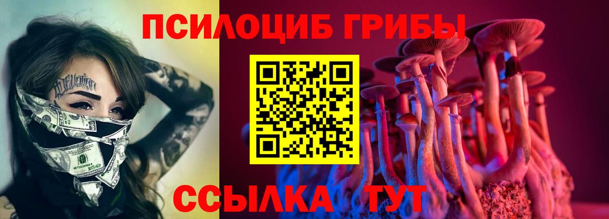 Галлюциногенные грибы прущие грибы Карталы