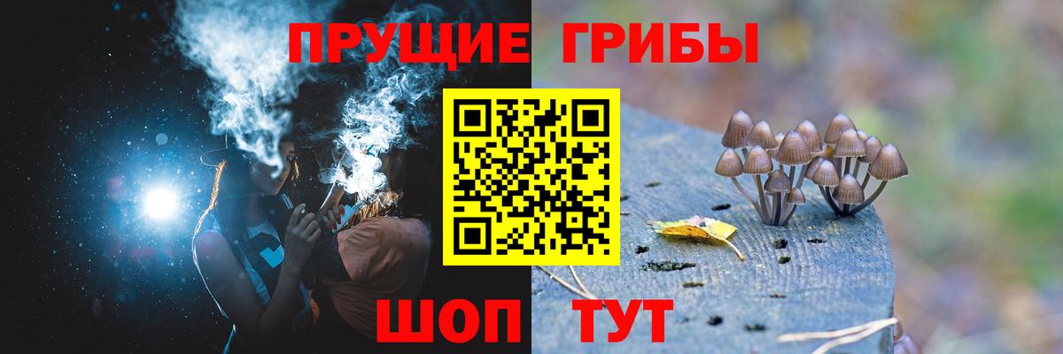 купить наркоту  Псилоцибиновые грибы ЛСД  Вход с VPN  Галлюциногенные грибы мухоморы  Карталы 